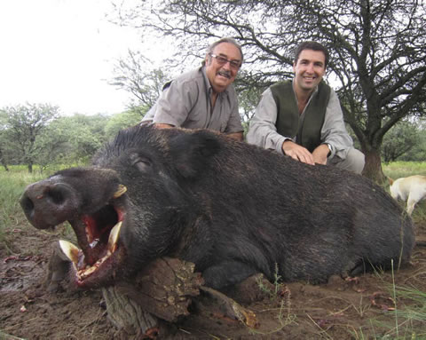 Ciervo de Marcial Gómez Sequeira