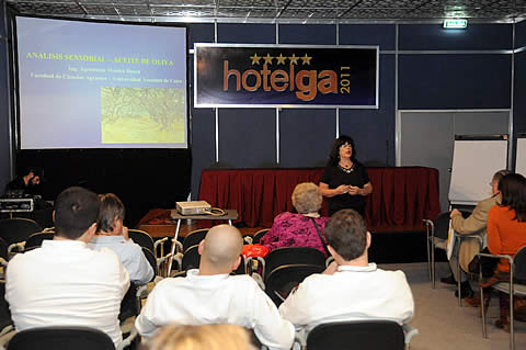 Hotelga 2011