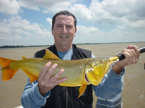 Pesca de dorados y mimosos en Berisso