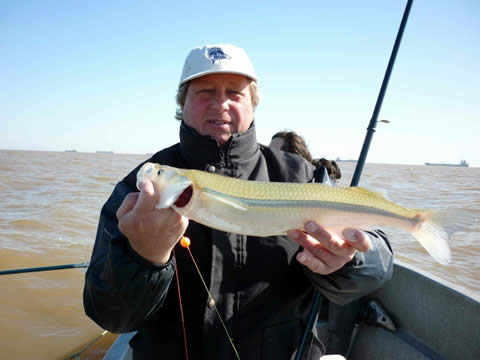 Pesca de dorados y mimosos en Berisso