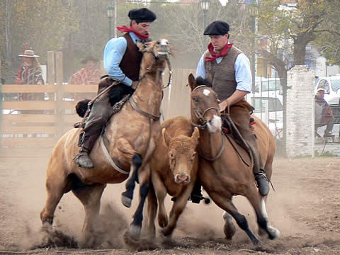 Expo Provincial del Caballo