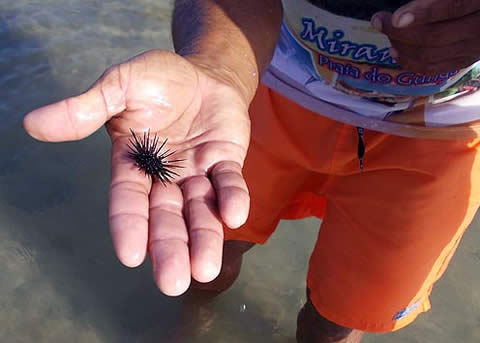 Excursión en Playa Gunga