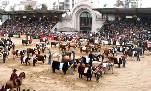 Turismo presente en Palermo