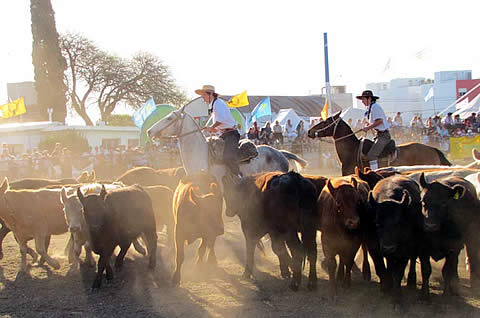 87ª Exposición Rural Santa Rosa