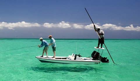 Jardines de la Reina, Cuba