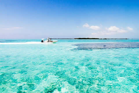 Jardines de la Reina, Cuba