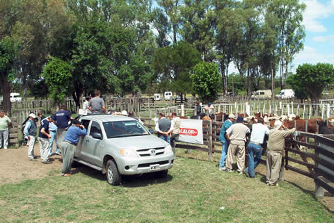 Muestra Agrícola, Comercial e Industrial de Rivadavia