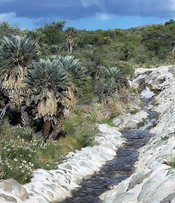 Por el norte de San Luis