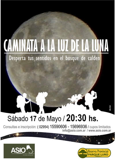 Caminata a la luz de la luna en Parque Luro