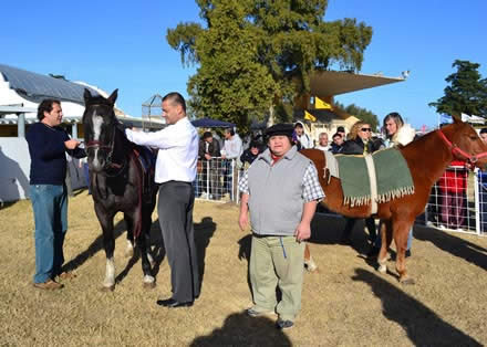 4ª Expo Caballo y 2ª Expoperros