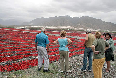 Secadero de tomate al aire libre